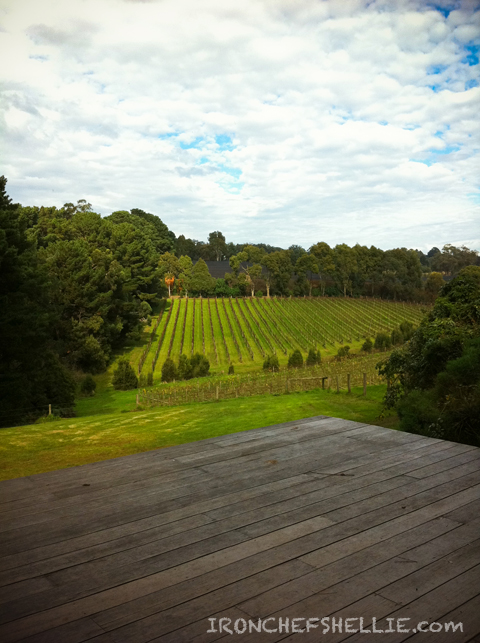 Post image for {Mornington Peninsula Trip} Foxeys Hangout