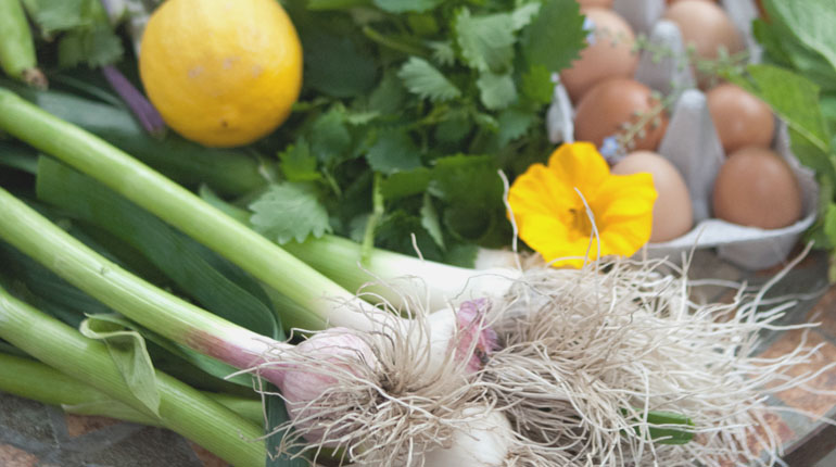Wine Food Farmgate_FEATURE IMAGE