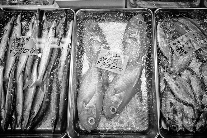 Tsukiji Market_17