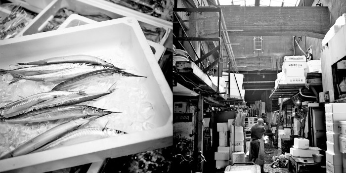 Tsukiji Market_5