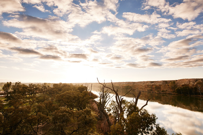 Accor-Hotels---Barossa-Valley_Barossa-Valley-Ballooning---3860