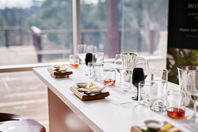 Accor-Hotels---Barossa-Valley_Jacobs-Creek-Winery---4125