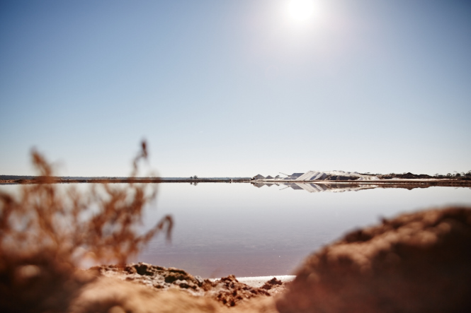 One of the salt lakes where they mine for Murray River Salt