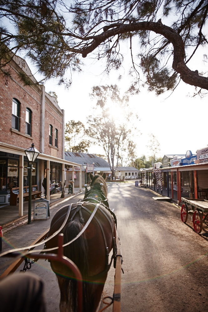 Horse and carriage ride through the Pioneer Settlement 